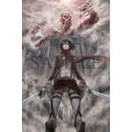 Attack on Titan Wallscroll 1 (40 x 60cm)