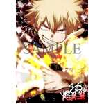 My Hero Academia Wallscroll 3 (40 x 60cm)